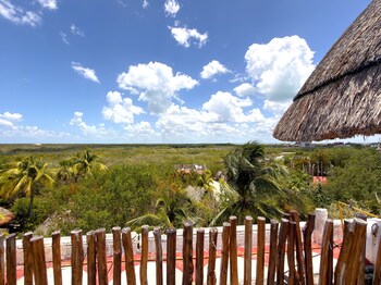 paseo kuka by ool hotels