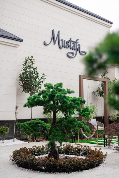 mustafa hotel