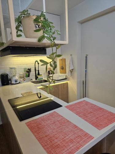 askha home apartment deluxe apartment