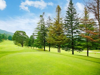 livemax golf club tochigi