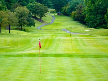 livemax golf club tochigi