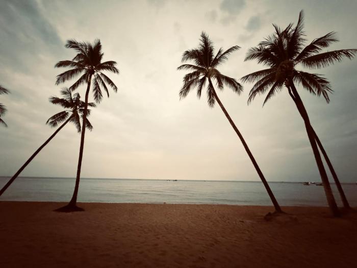 my marina beach hotel phu quoc