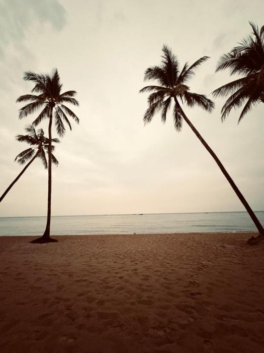 my marina beach hotel phu quoc