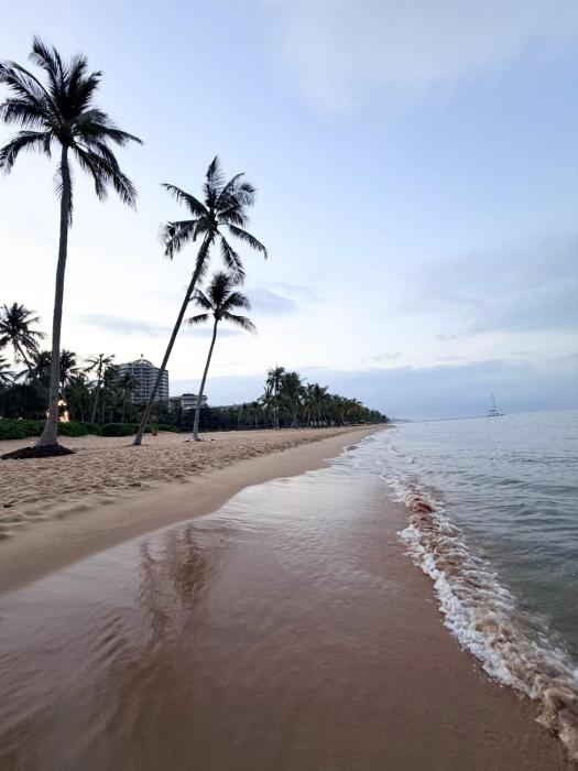 my marina beach hotel phu quoc