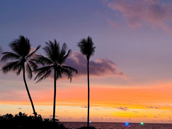 my marina beach hotel phu quoc