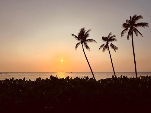 my marina beach hotel phu quoc