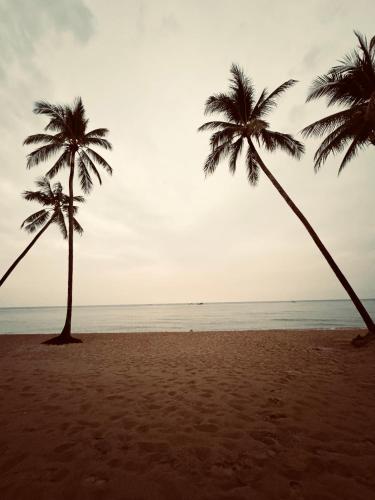my marina beach hotel phu quoc