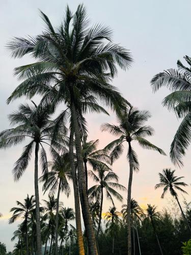 my marina beach hotel phu quoc