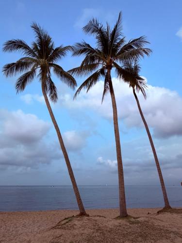 my marina beach hotel phu quoc