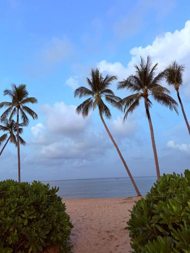 my marina beach hotel phu quoc