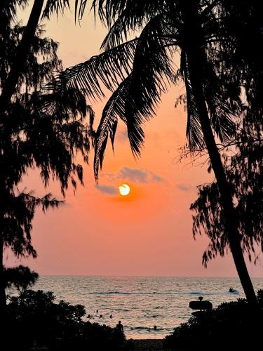 my marina beach hotel phu quoc