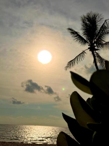 my marina beach hotel phu quoc