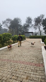 rajwada farms dudhwa