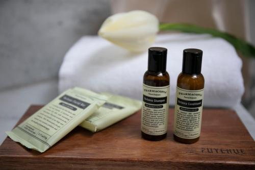 termas puyehue wellness and spa resort