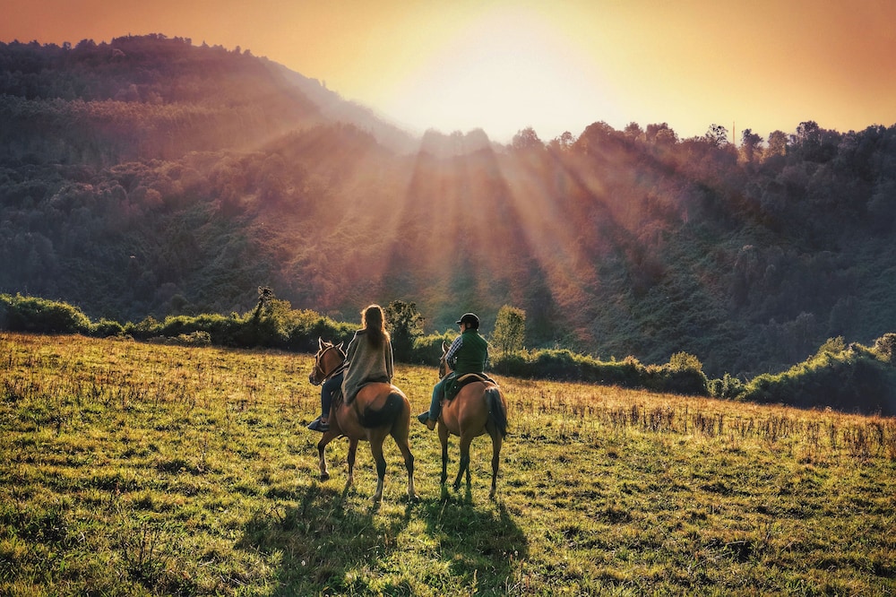 termas puyehue wellness and spa resort