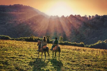termas puyehue wellness and spa resort