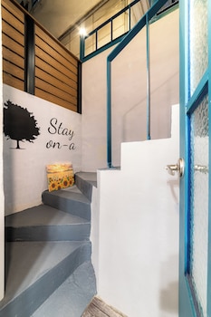 Stay On-A,,3 star