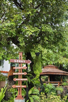 the loft resort bangkok