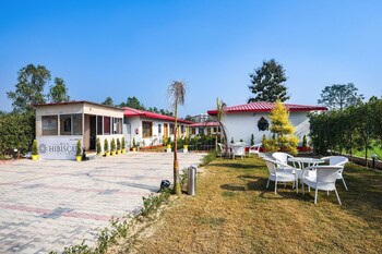 wild hibiscuss resort