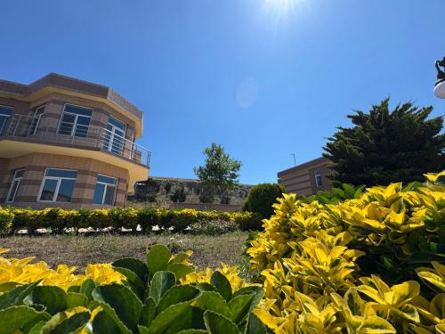 khazri resort and villas
