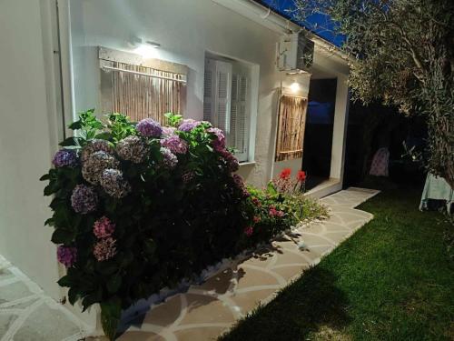 physis oikos beachfront apartments