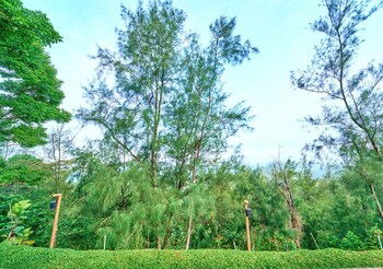 whispering hills attappadi by voye homes