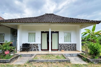 cozzy hepi bungalo lovina singaraja bali