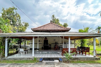 cozzy hepi bungalo lovina singaraja bali