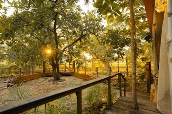 Yaarnagar Jungle Resort Ratapani,,2 star