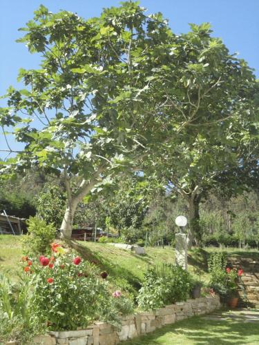 casa rural vila pomar