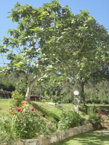 casa rural vila pomar