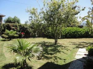 casa rural vila pomar