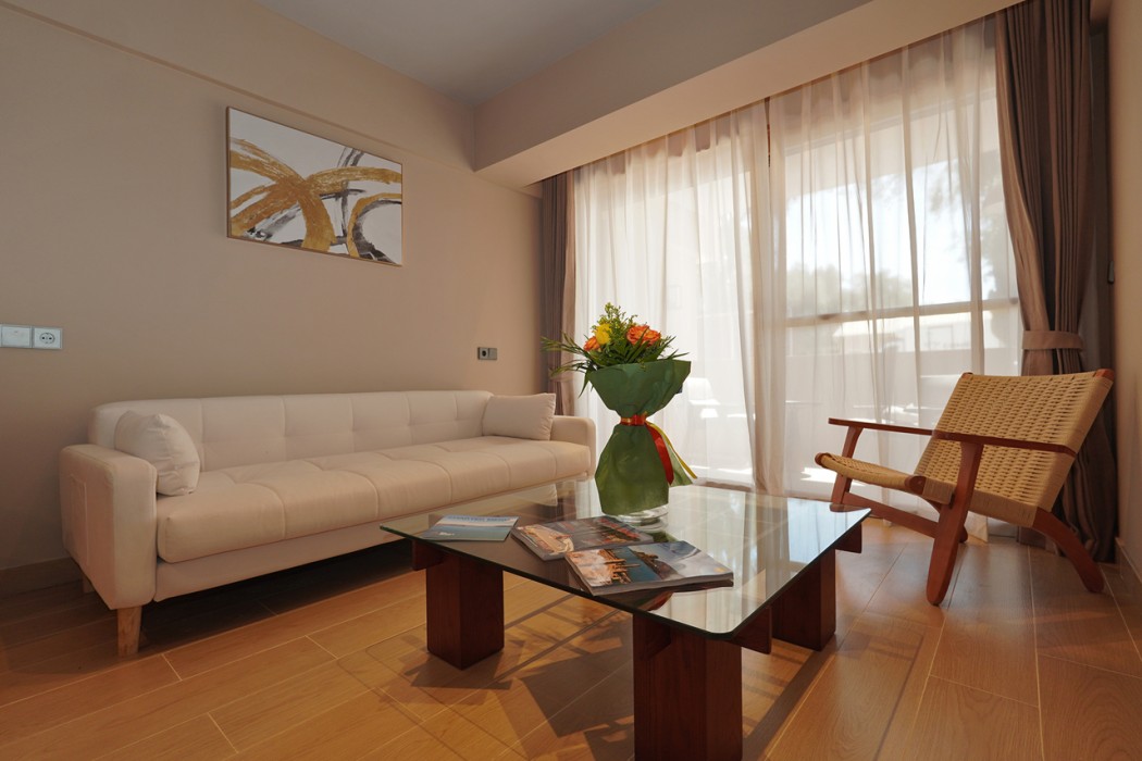 ionian crown suites in barbati