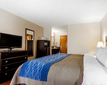 comfort inn and suites