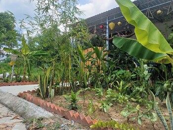 villa garden lucky home