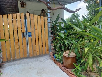 villa garden lucky home