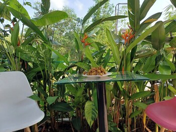 villa garden lucky home