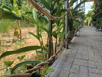 villa garden lucky home