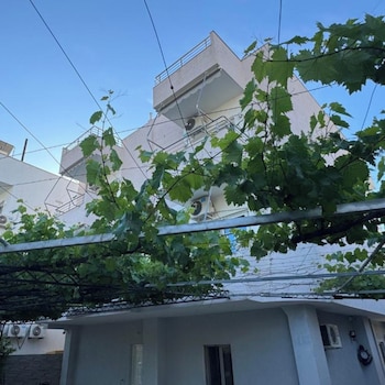 vila noah
