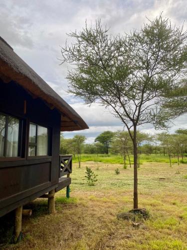 chobe lesoma chalets hotel