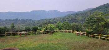 tropical blooms coorg