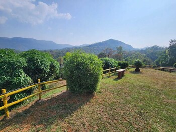 tropical blooms coorg