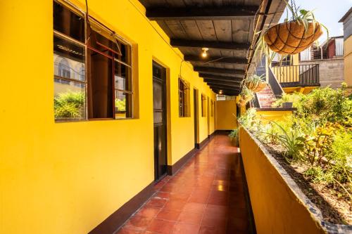 hotel itzel