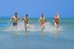 caribbean world borj cedria