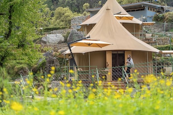 saraaya glamps dharamshala
