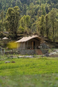saraaya glamps dharamshala