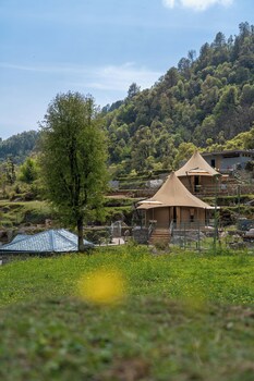 saraaya glamps dharamshala