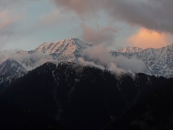 saraaya glamps dharamshala