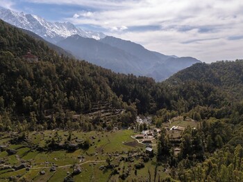 saraaya glamps dharamshala
