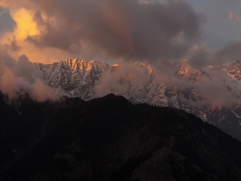 saraaya glamps dharamshala